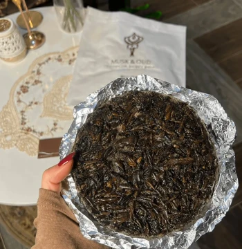 بخور مسك وعود الحجم الكبير